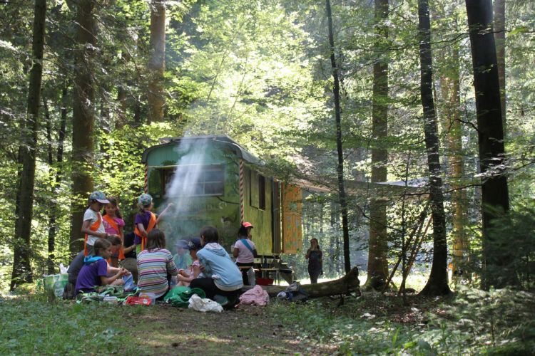 - Der Naturdetektiv-Wagen steht im Wald, davor eine Gruppe Kinder beim Feuer machen. Der Rauch zieht durch die Bäume.